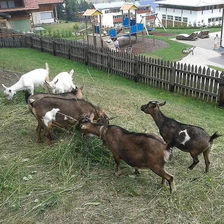 Appartamento Ciasa Odlina